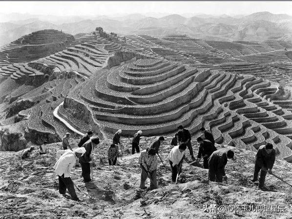 大寨和小岗哪个是典型,大寨与小岗村的实际发展情况