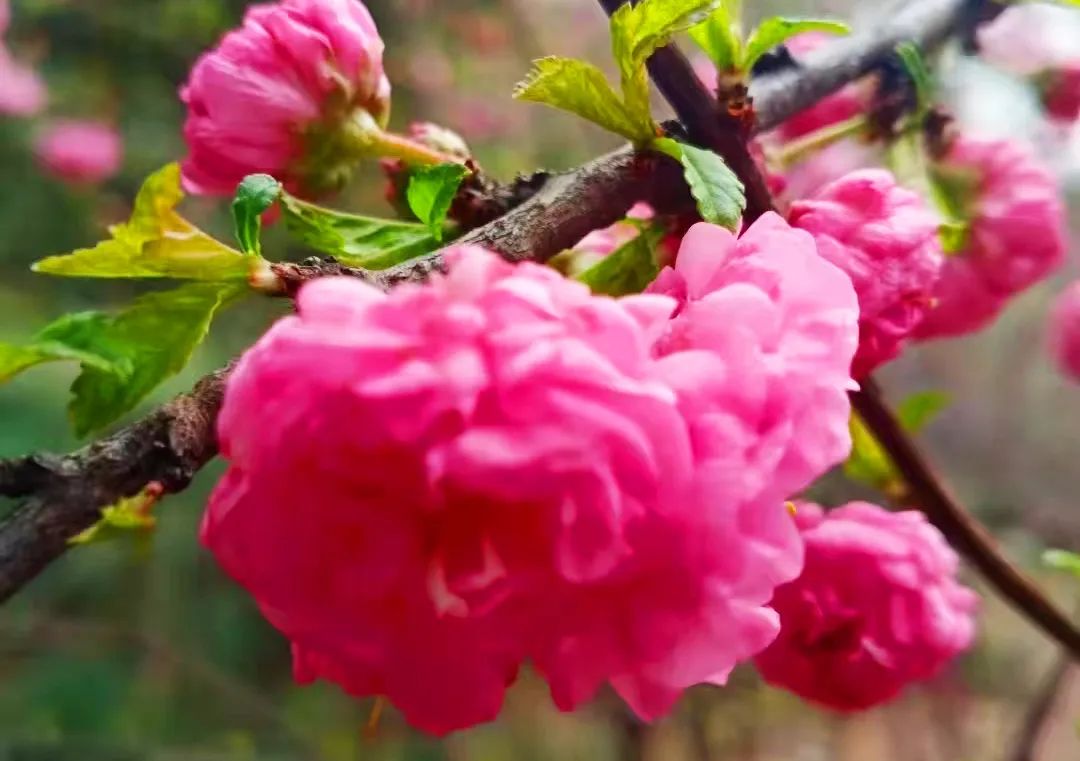 甲友心声——时光不老，终将一寸一寸地治愈我