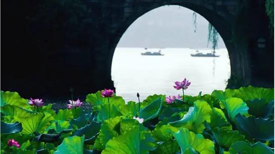 杭州好玩的地方和景点排行榜,杭州周边好玩的地方景点免费