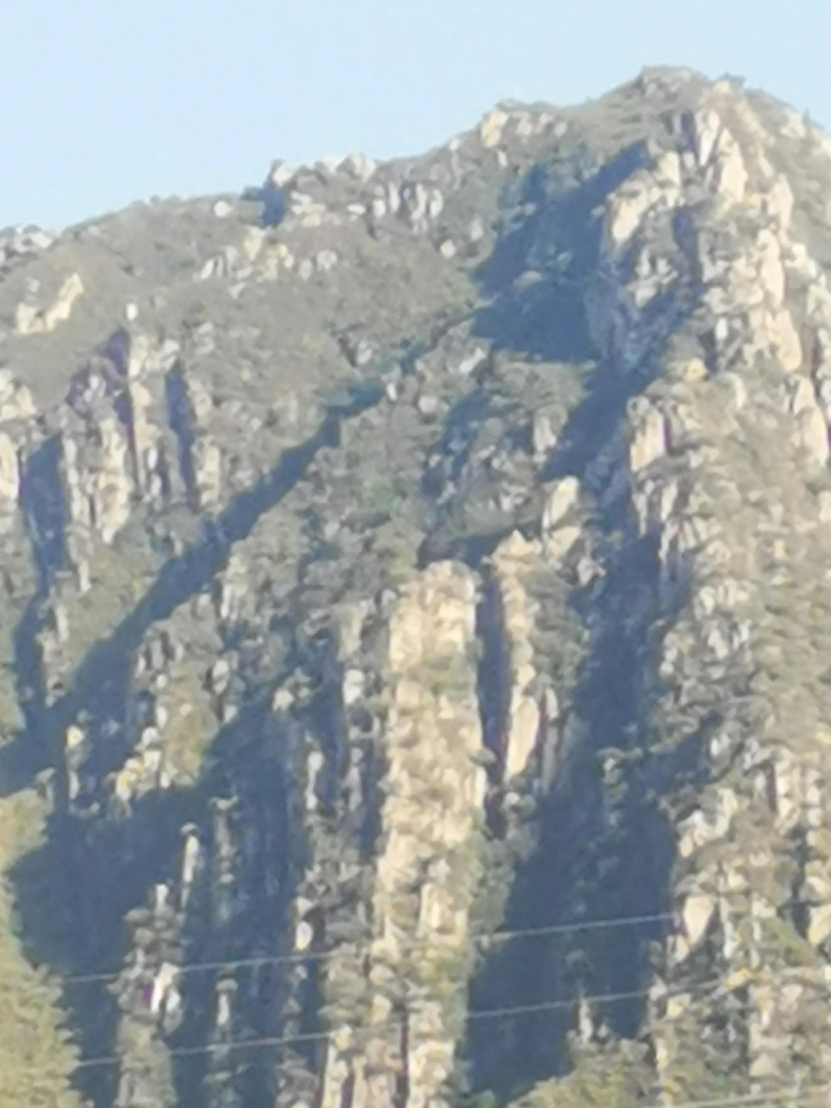 寮犲鍙ｅ競瀹ｅ寲鍘挎潕澶т汉搴勬潃浜烘,瀹ｅ寲鏉庡ぇ浜哄簞鍦板悕鏉ュ巻