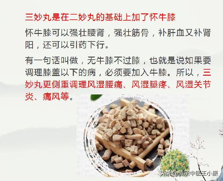 下焦湿热不能吃补气的药吗,下焦湿热不吃药只锻炼能好不