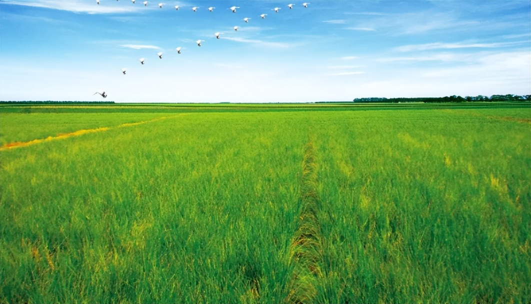 浙江土特产大全有哪些,浙江特产有哪些土特产品呢