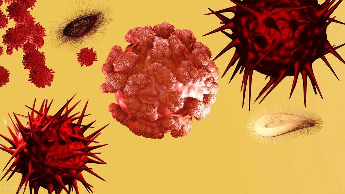 染上性病就是私生活不检点？医生提醒：性病感染主要是6个原因