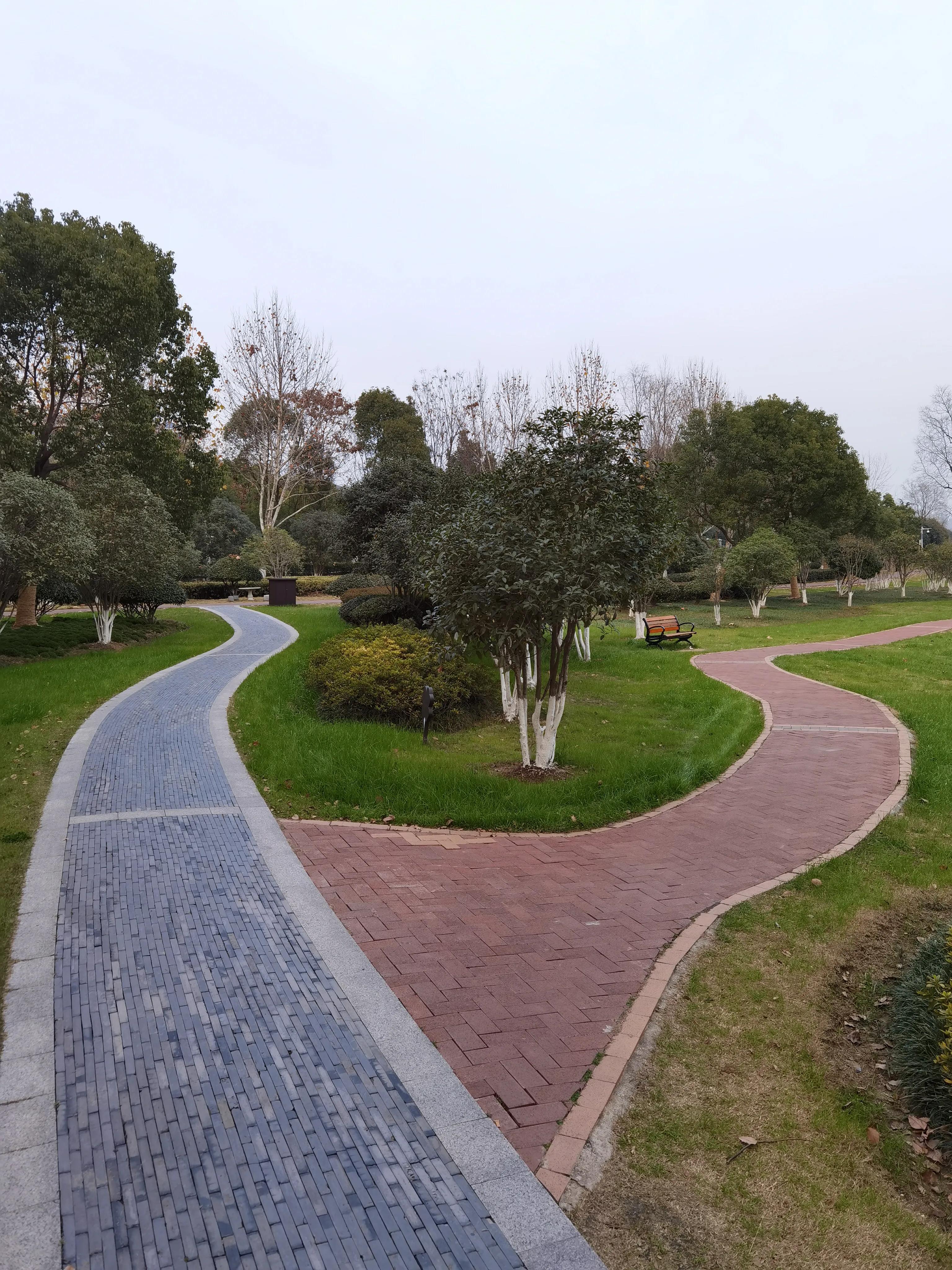 手拍世界作品专集,手拍世界283期