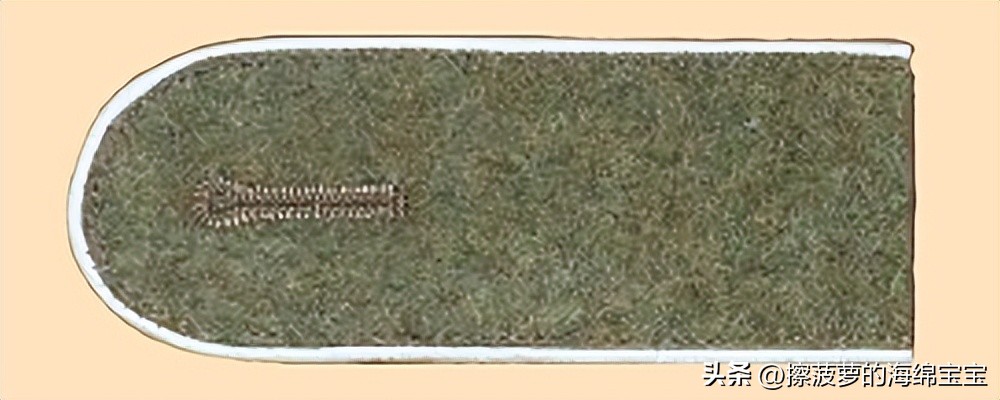 纳粹冲锋队用的什么枪,纳粹德军军衔图解