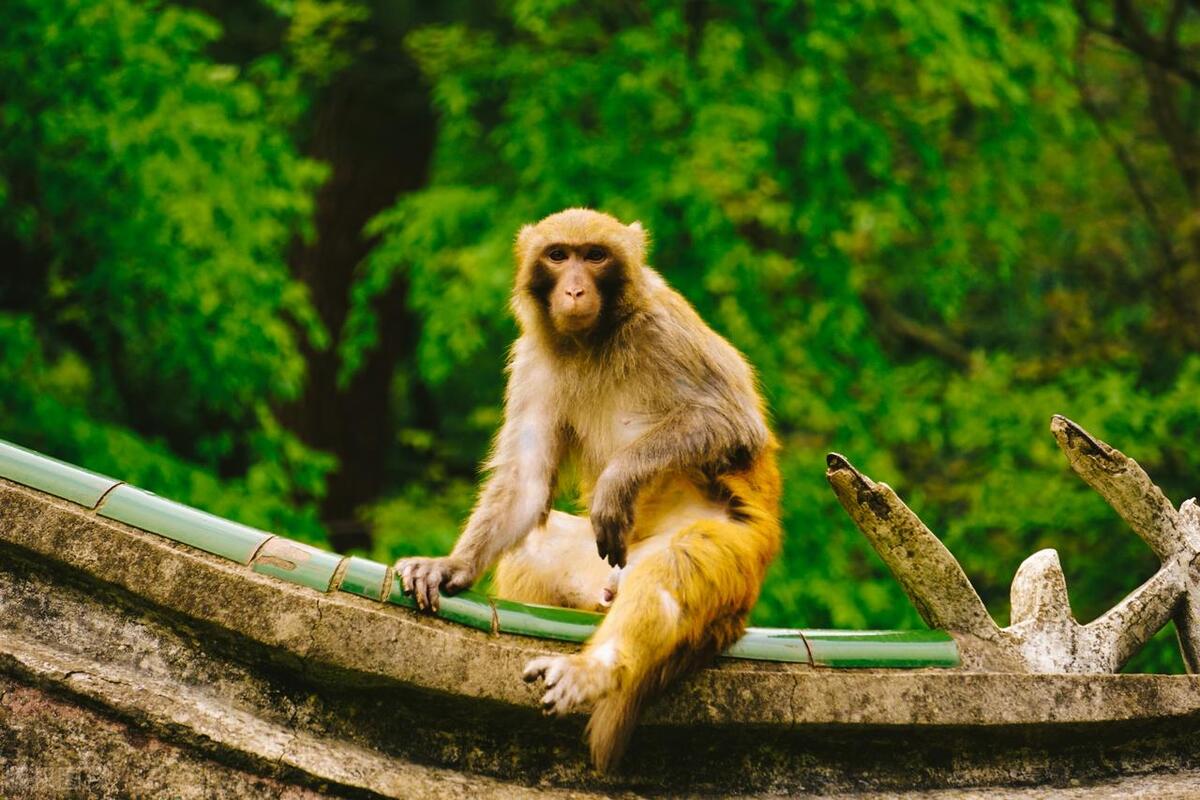 贵州十大旅游景点地图全图,去贵州玩必去的景点推荐一下