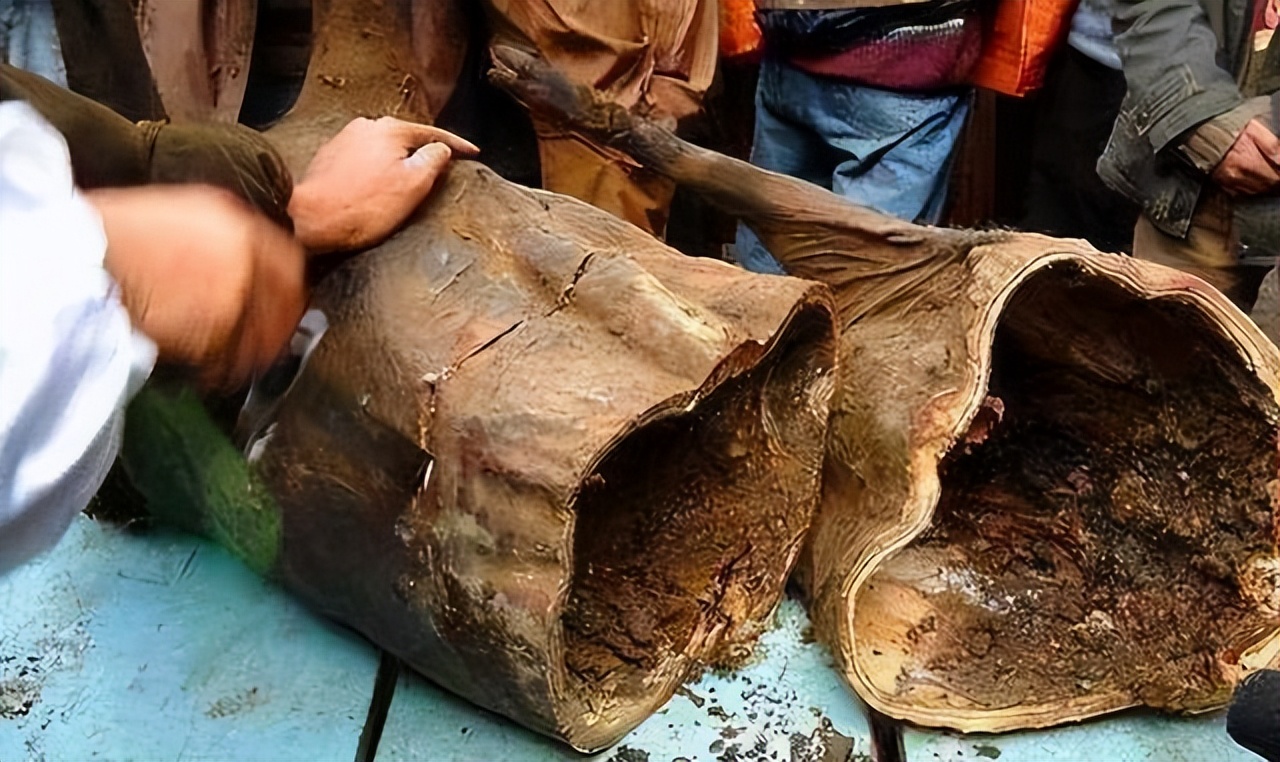 四川臭猪肉在房梁上的时候图片,四川臭猪肉悬挂房梁