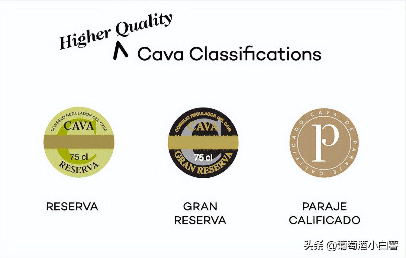 香槟酒平价好喝推荐哪款,香槟好喝排行榜