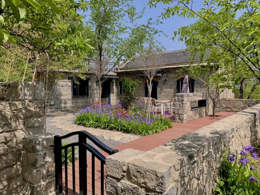 淄博适合冬天去的民宿,淄博旅游民宿攻略推荐最新