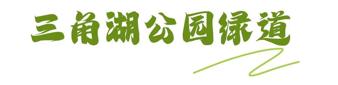 秋日暖阳骑行绿道,骑车绕城绿道值得打卡的推荐