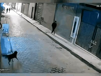 神回复最恶搞的话,被人骂不知羞耻的神回复