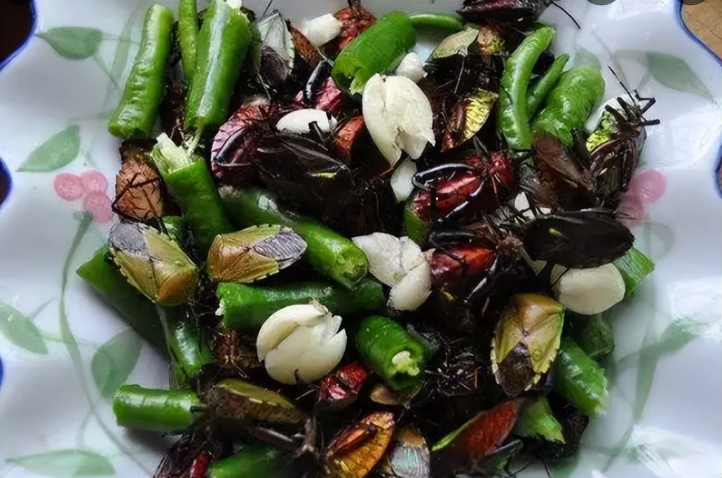 一碰就放臭屁的臭屁虫，如今却成香饽饽600元1斤，它的价值了解下