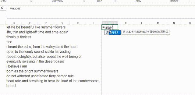excel表格大小写同步,excel英文大小写