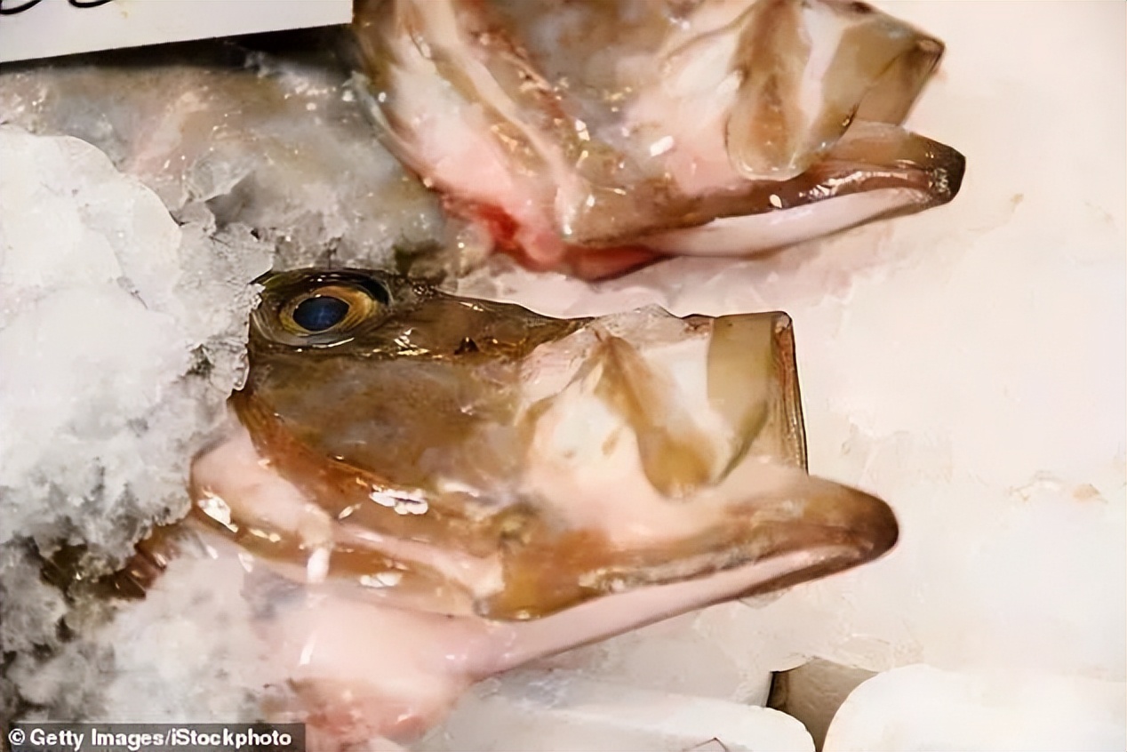 澳洲海鲜干货大全,澳洲精品海鲜