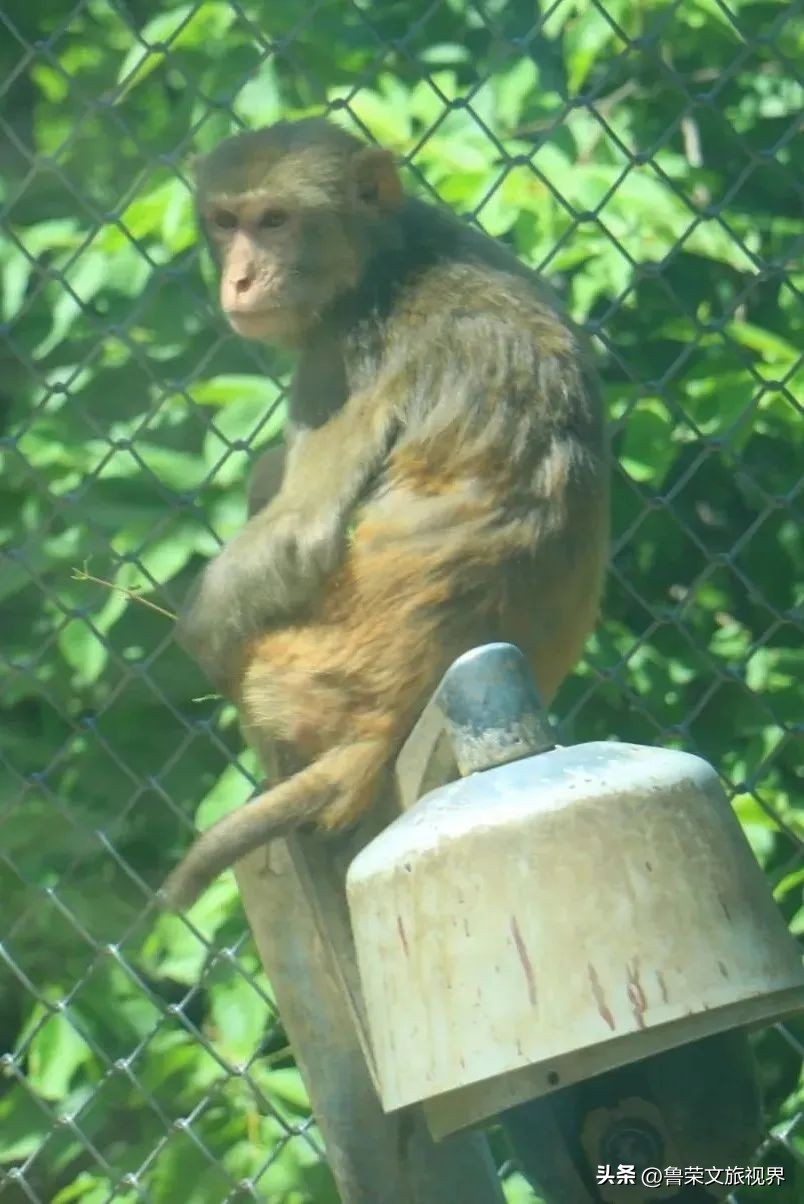 西安坐地铁旅游全攻略,西安半日游地铁