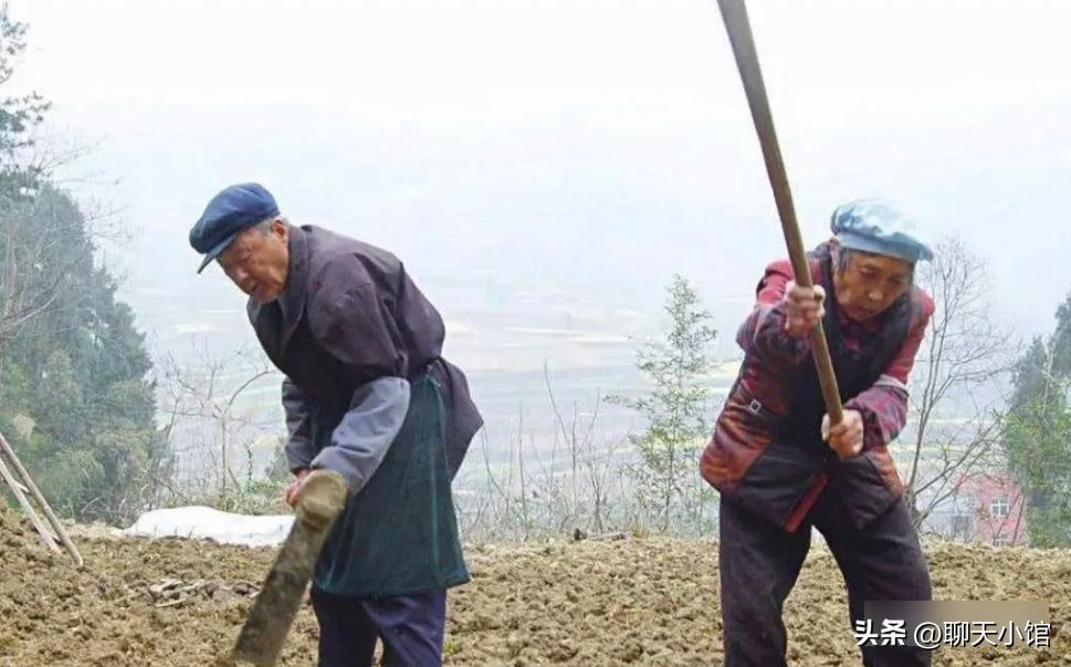 一张“农村小女孩帮忙麦收”照片惹众怒：收起你的傲慢与无知！