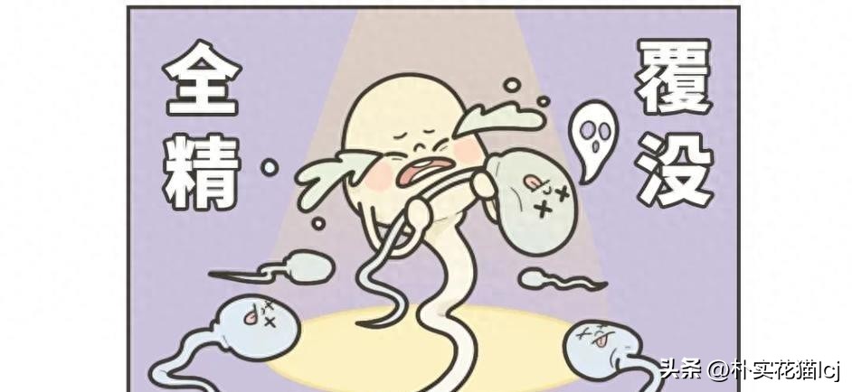 精子受孕未成功后去哪了,没有成功受孕的精子都去哪里了