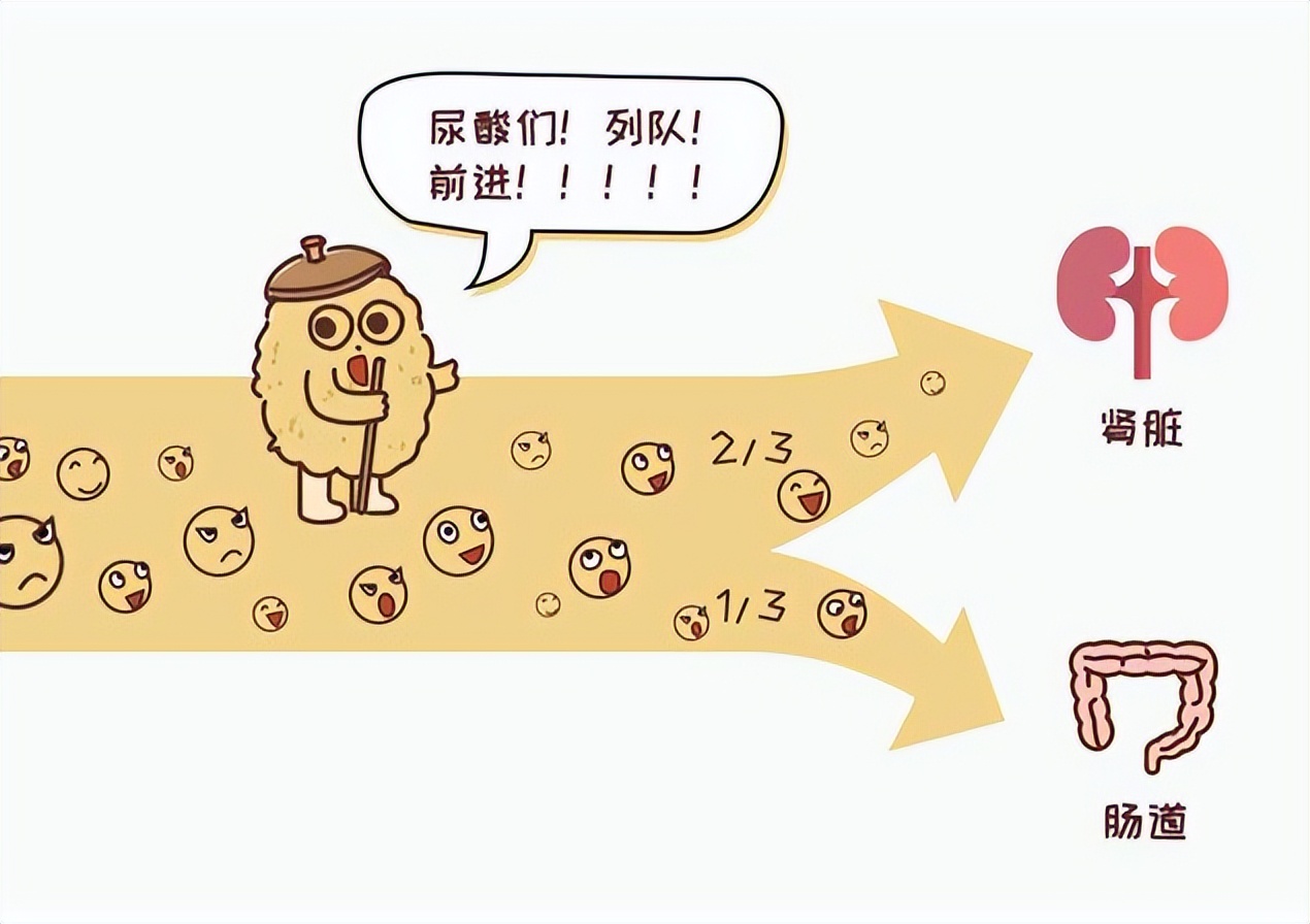 痛风关节结晶石的消除办法有哪些,痛风石溶解能根治痛风吗