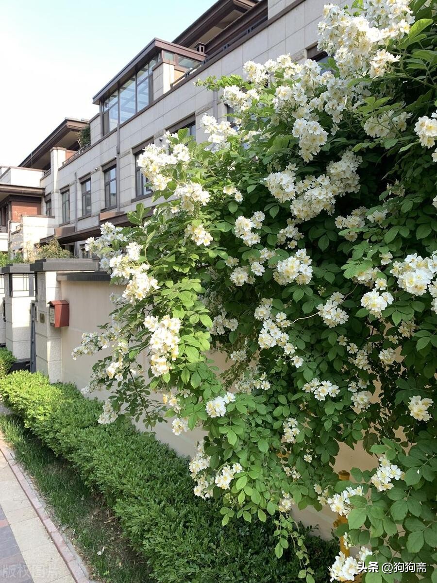 从底层开始小说,底层生活小说全集