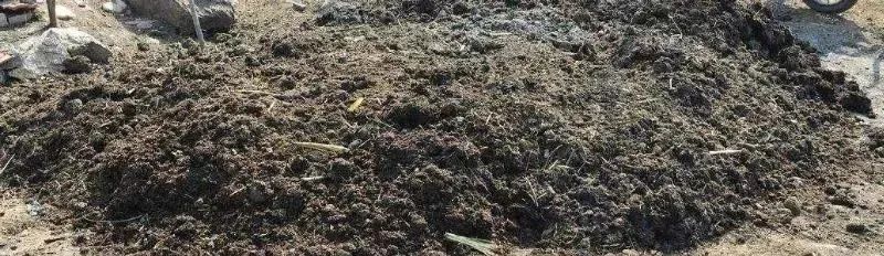 肥料的种类和作用,几种常见肥料的性质及鉴别方法