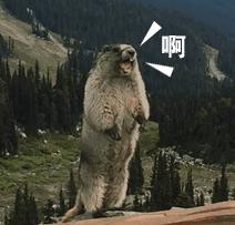 这是什么样的“部下”，竟然如此坑人？|百日行动