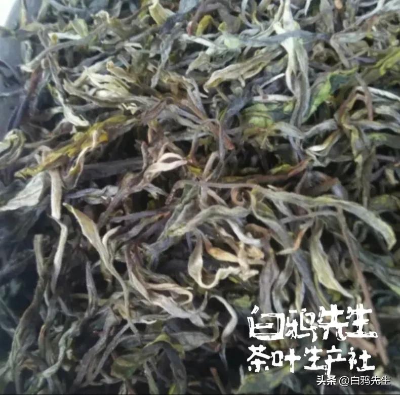 你好!认识一下，我叫“普洱茶”