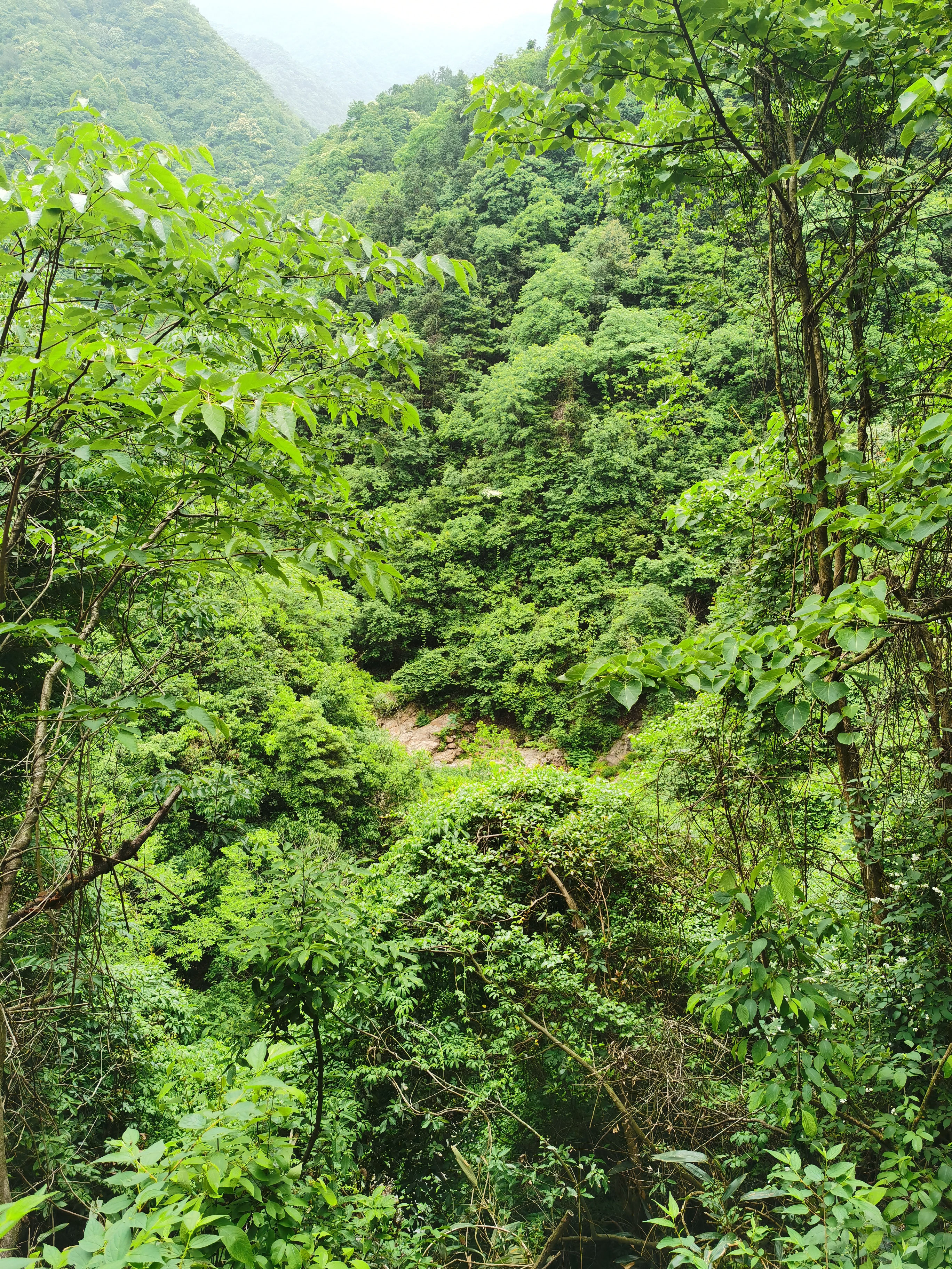 夏季嬉水好去处，初探临安蝴蝶谷