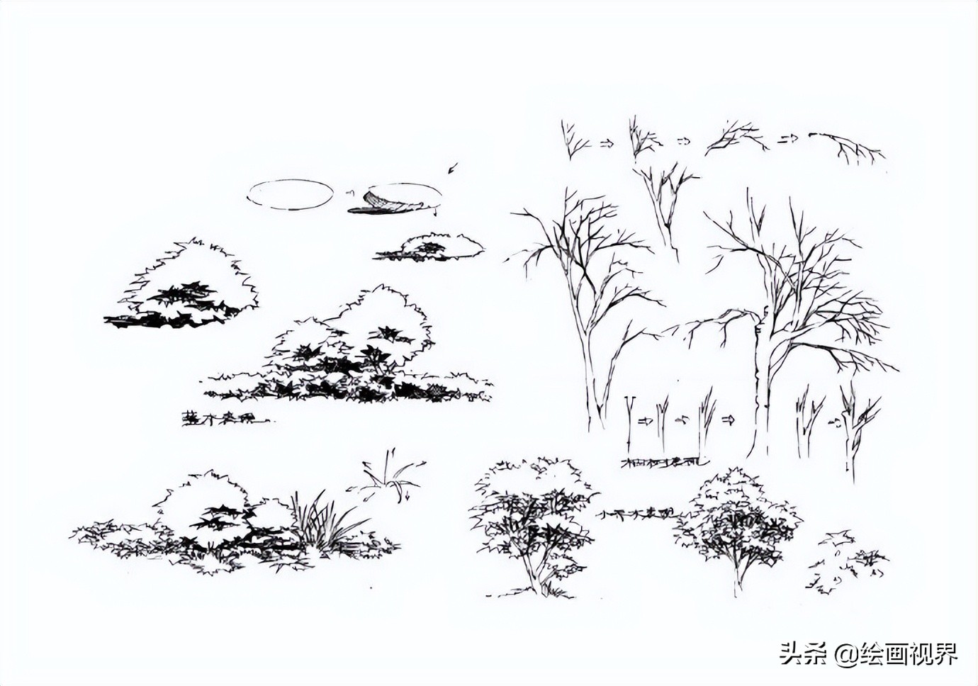 零基础不会画画怎么学当插画师,零基础画不好色彩