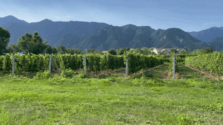 打卡北京亲子乐园天花板,北京度假村旅游攻略带孩子