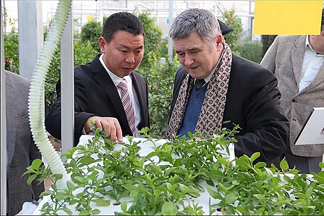 16年四川小伙去俄罗斯种土豆，不久后身家过亿，被西方企业使阴招