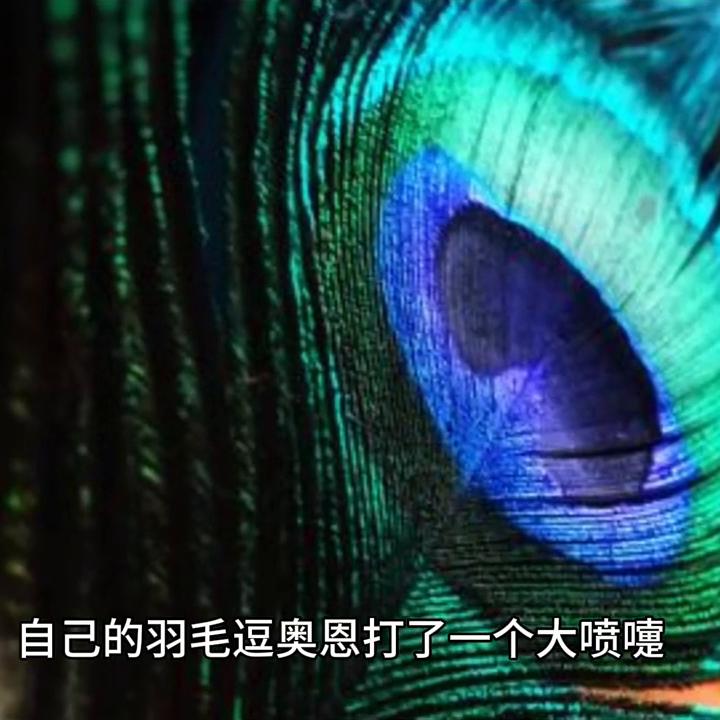 英雄联盟英雄介绍,英雄联盟全球总决赛