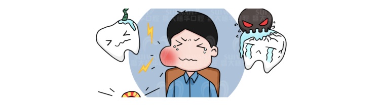 牙齿真的是被虫子吃掉的吗,牙齿是怎么进虫子的