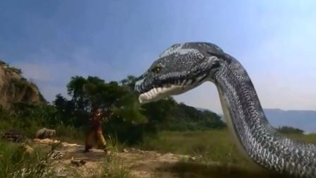 为什么现在的蛇不怕雄黄了,蛇为什么怕雄黄粉