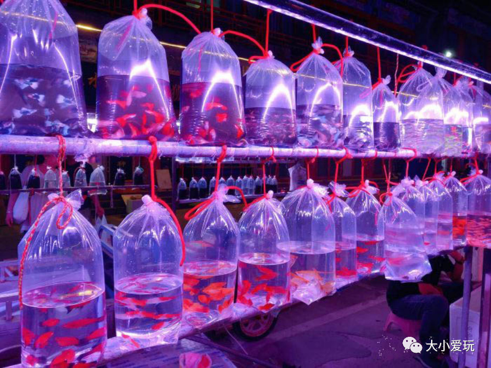 这些好吃好玩又好逛的宝藏市集回归啦！书市/鱼市/小吃夜市……