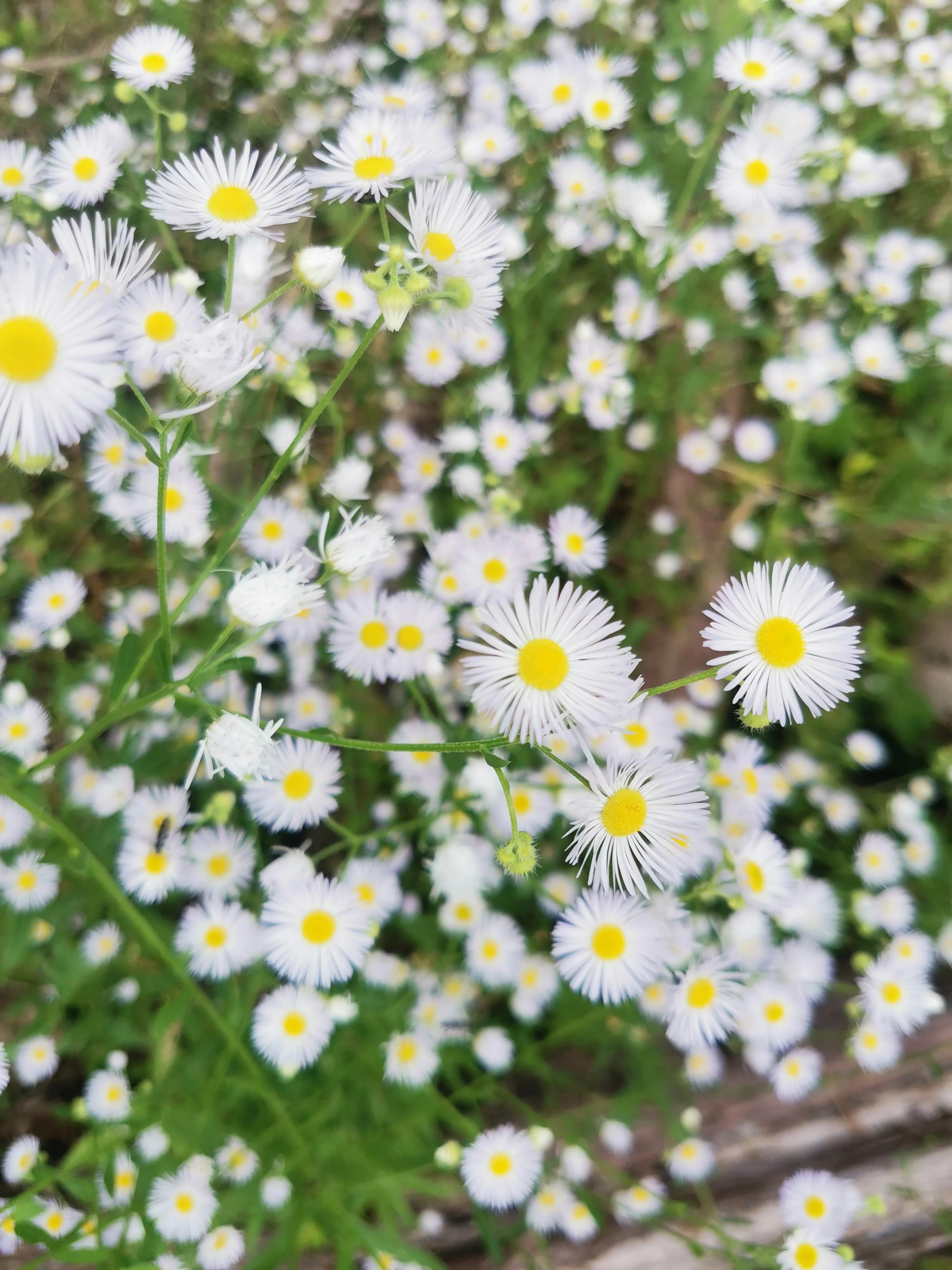 2022年的最后一个月，我被骂的狗屎不如，网暴有多可怕