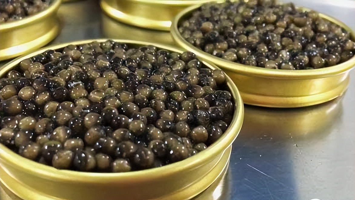 湖北大叔鱼肚中发现“黑黄金”，一条鱼卖600万！三年赚两亿