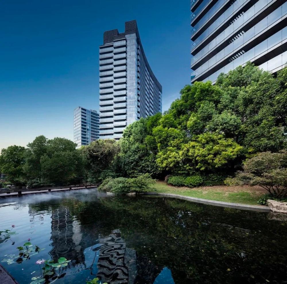 绿城房地产最新消息,绿城地产变化