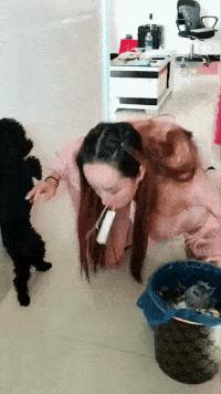 神回复：老鼠贴粘到的，吃了不会犯法吧？网友：自首，争取死缓