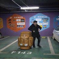 小鳄龟为啥养着养着就断尾了,以前不理解别人养宠物