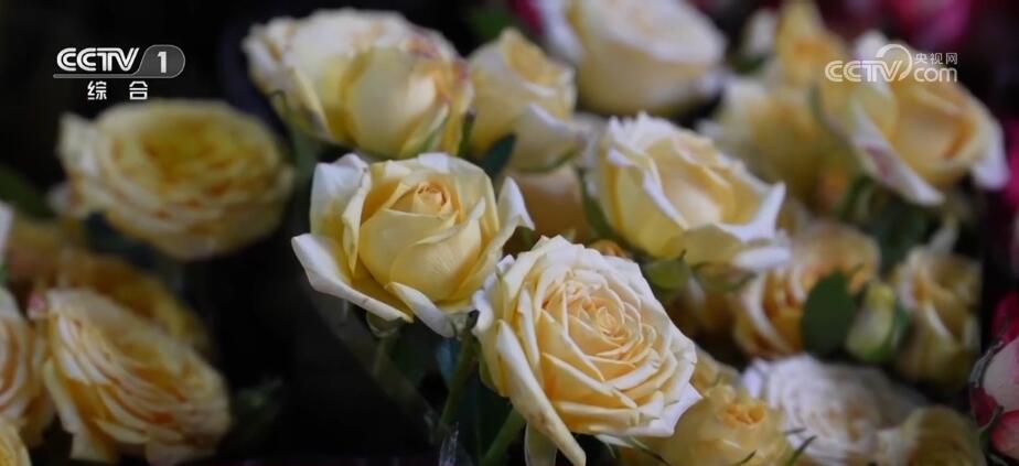 林木种苗花卉产业发展亮点,中国花卉产业成果