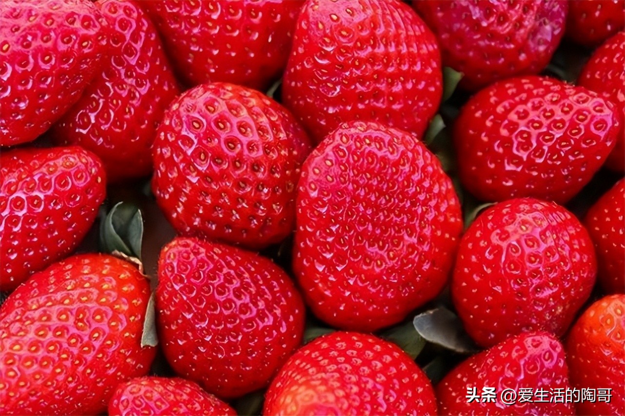 春天养肝应该多吃什么颜色的食物,春天养肝夏天养心秋天养肺冬养肾