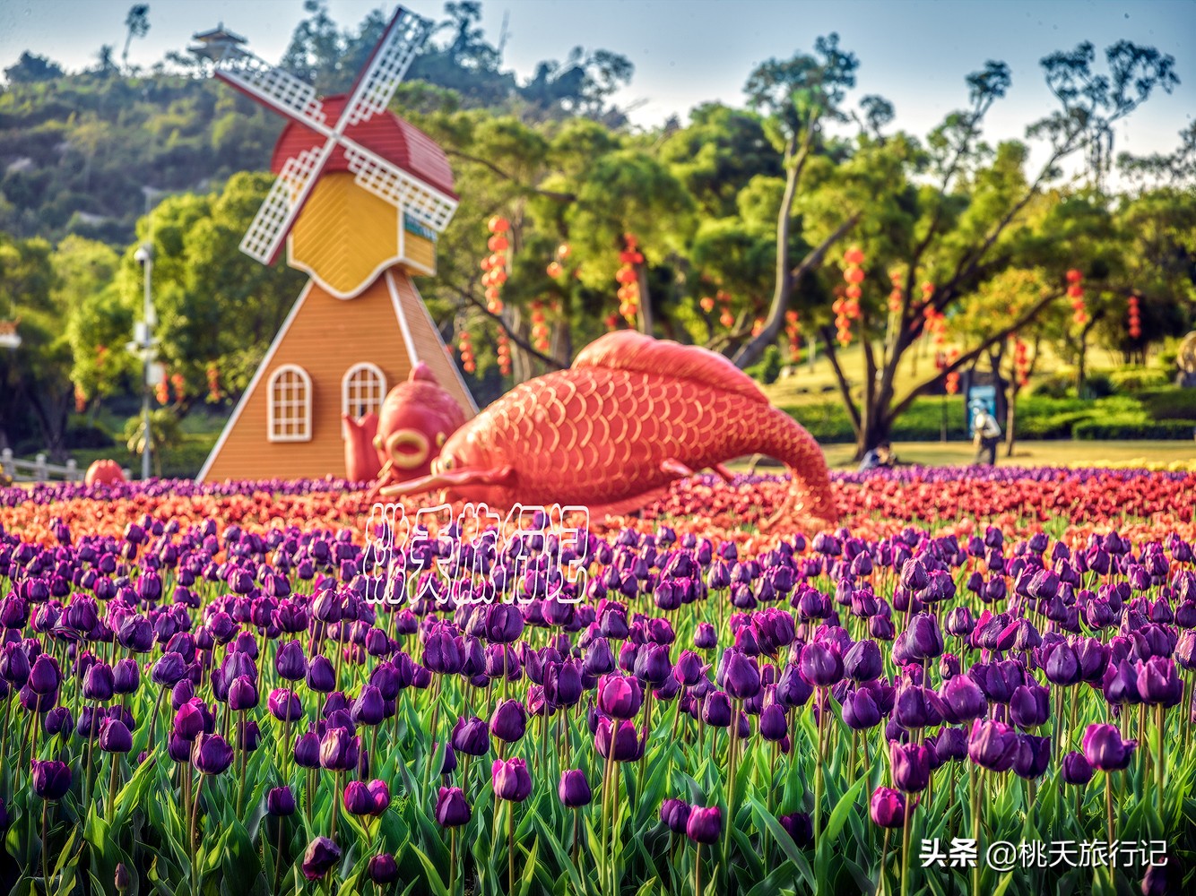 春节珠海旅游攻略三日游自由行,2019春节珠海游去哪比较好