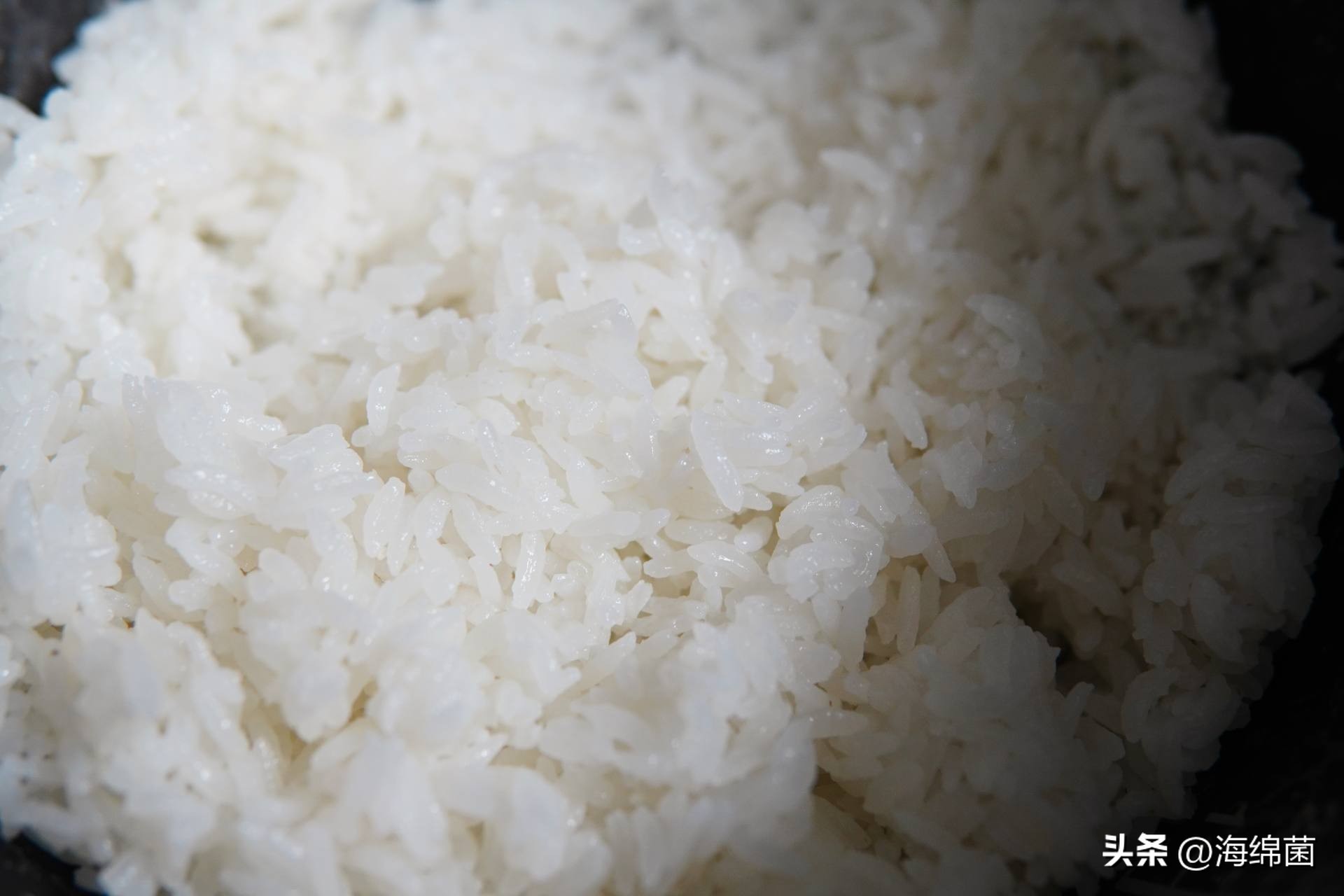 灵魂米饭,灵魂电饭煲