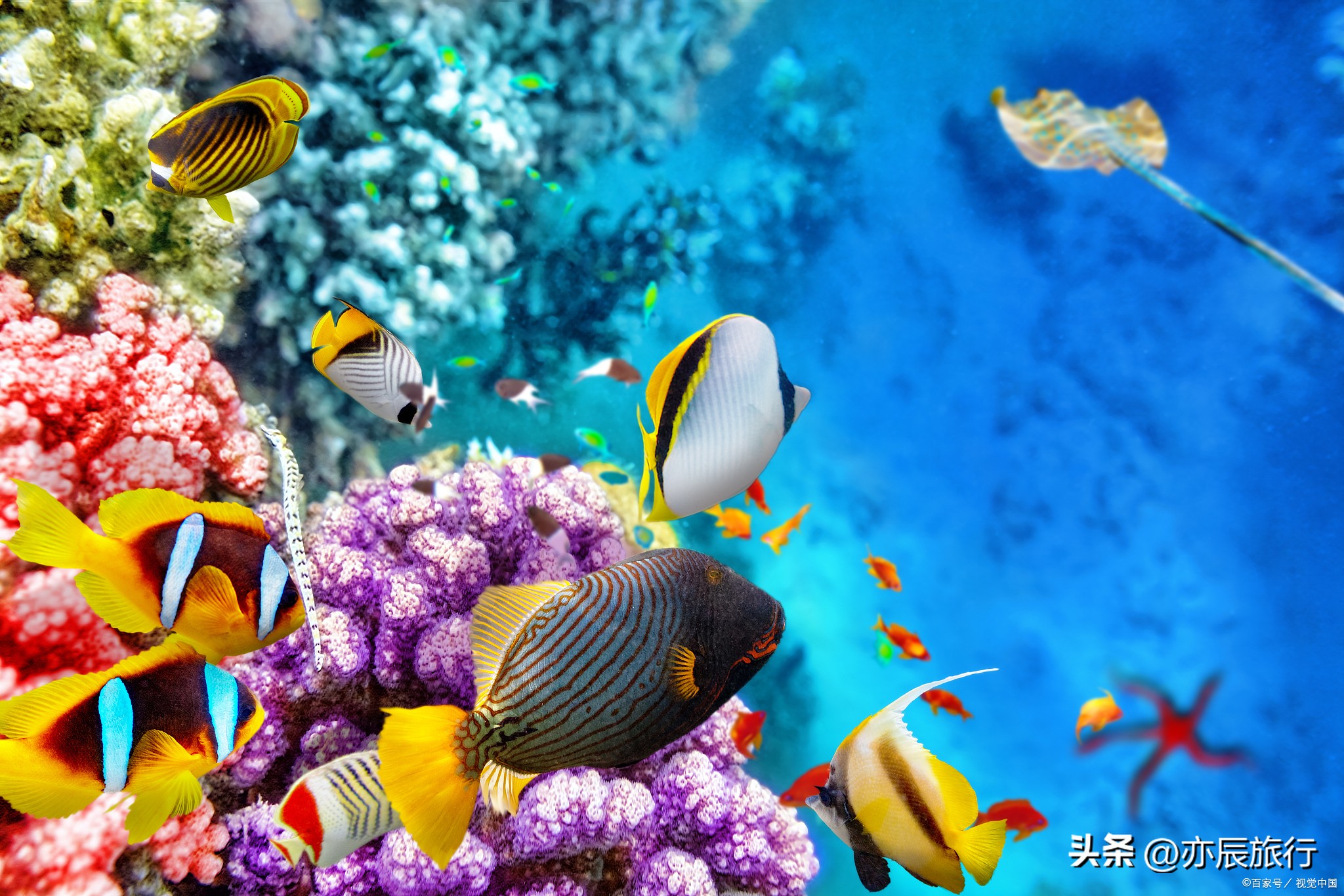 海南冬天旅游十大必去景点,海南旅游最佳景点推荐自驾游