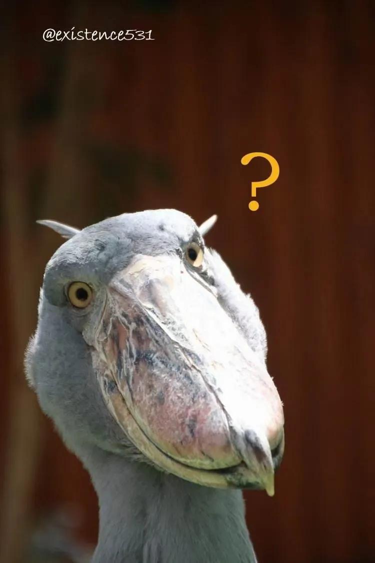 零度青春小说全文在线阅读,零度青春上册