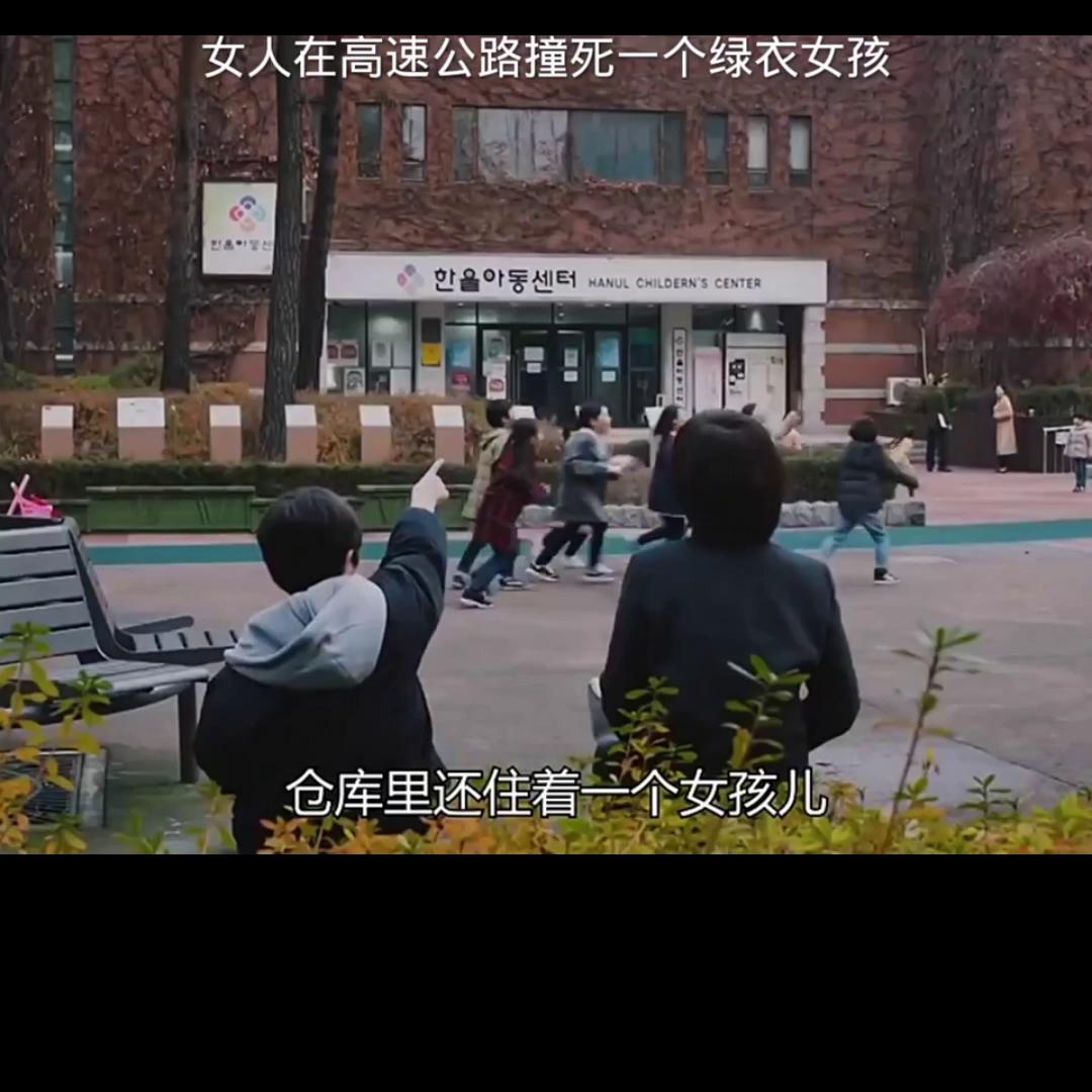 我的观影报告4,我的观影报告全40集