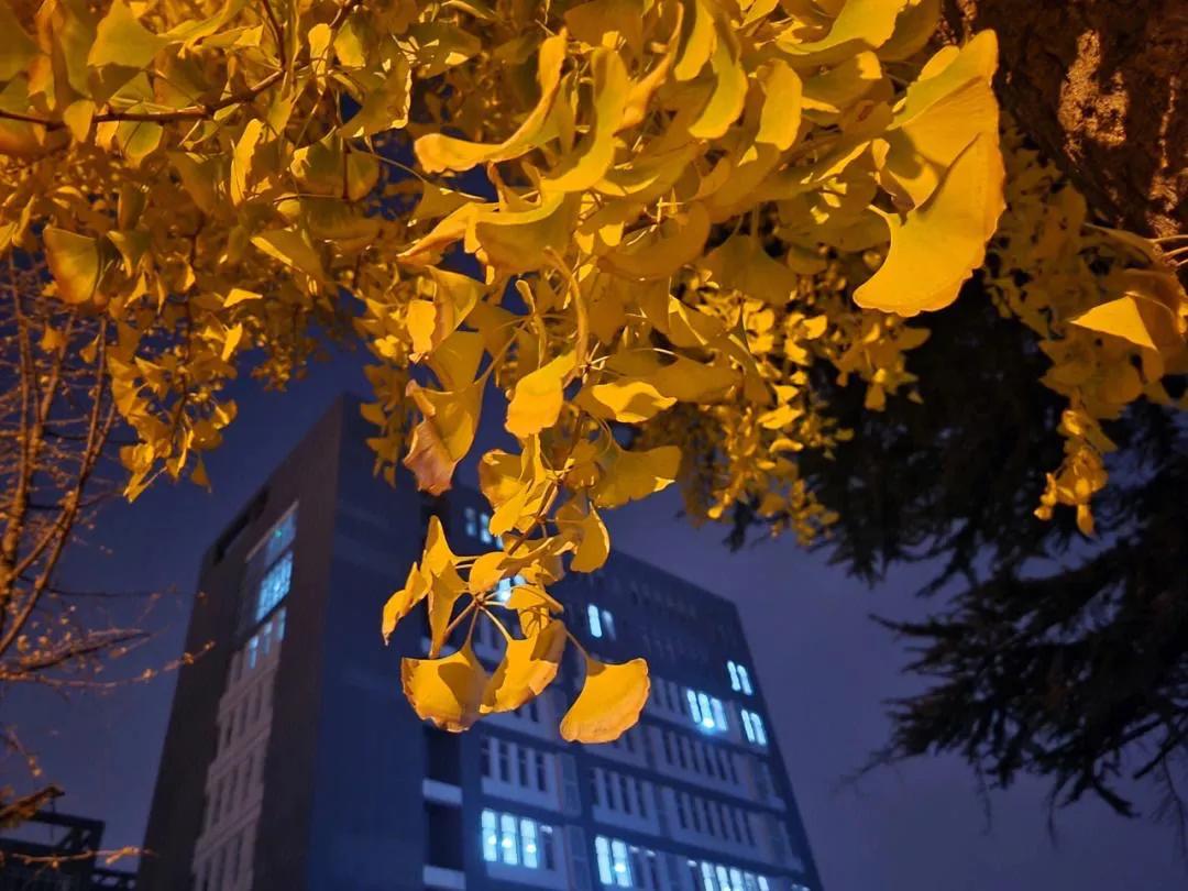 200条实用心理学小知识,实用200条心理学视频