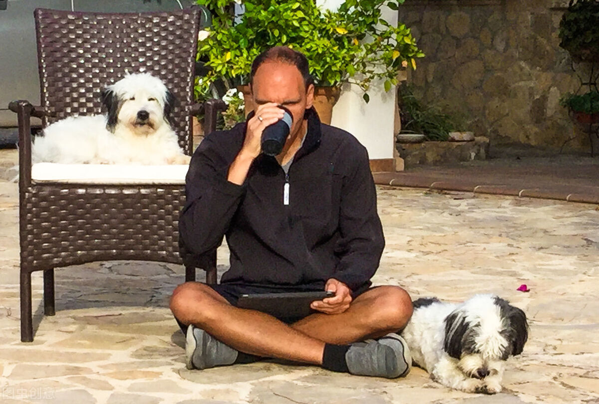 狗偷喝主人的酒会怎么样,狗狗偷喝主人的酒第二天也没醒来