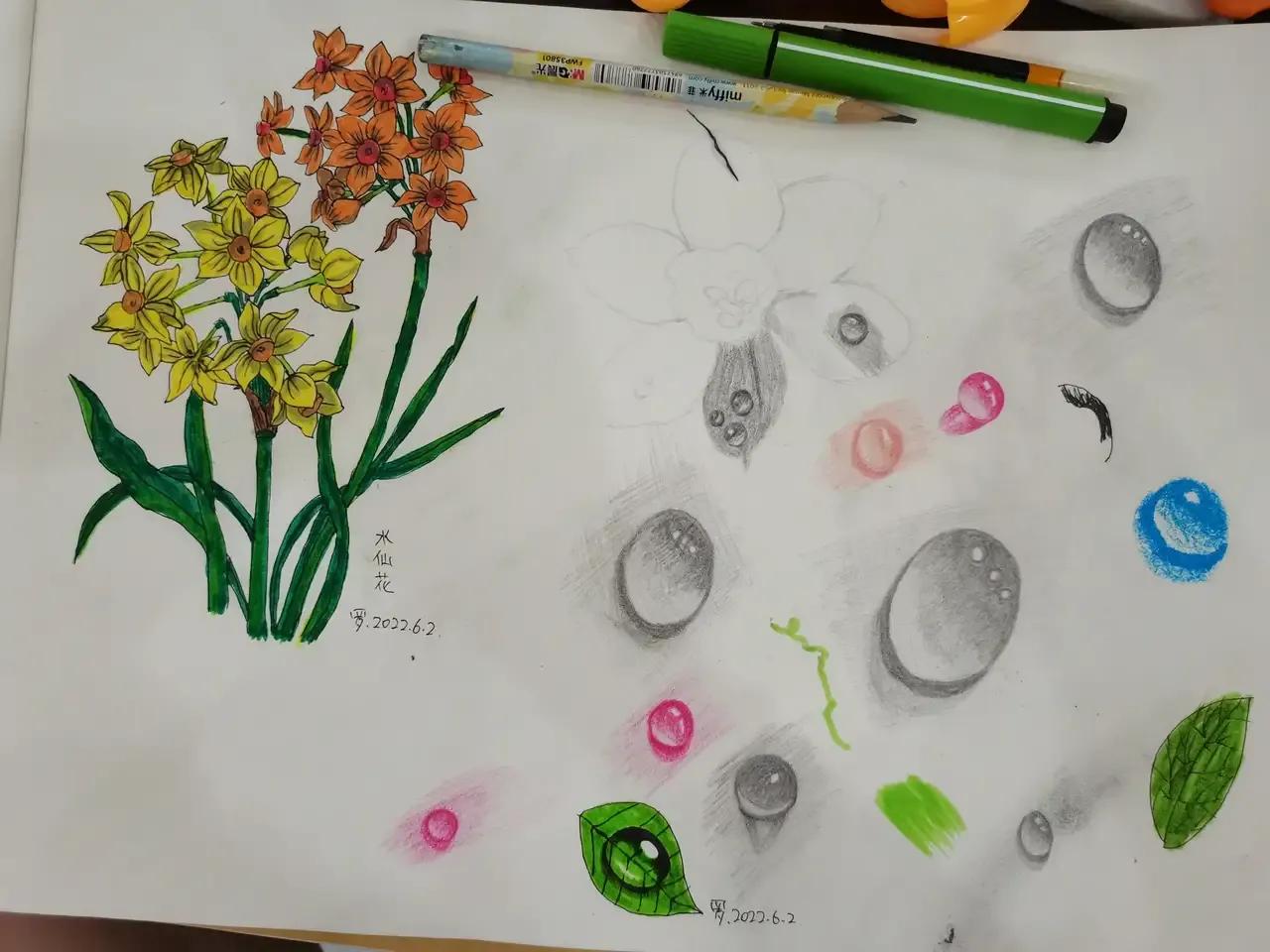 自学画画几年才有成果,自学画画一星期