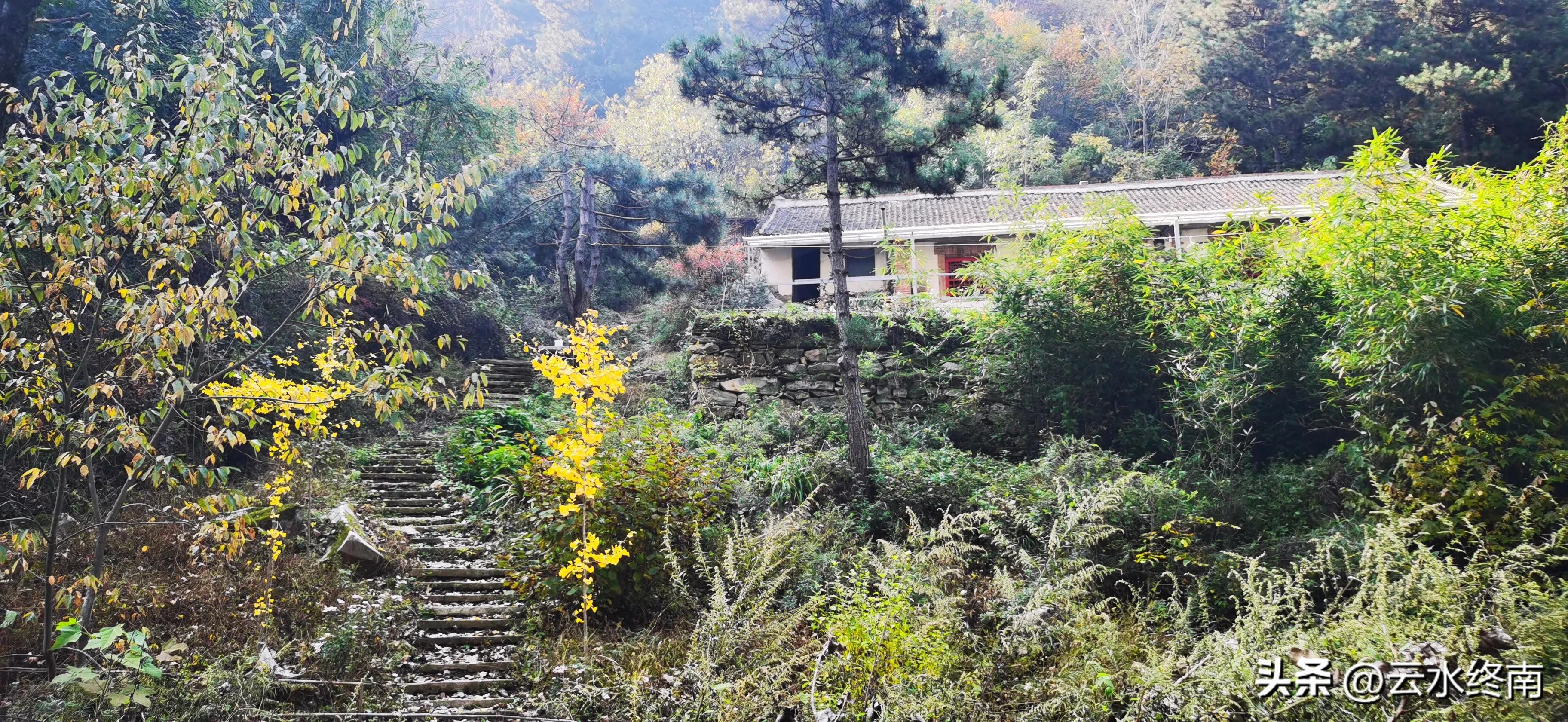 享个清福！到少有人知的峙峪看看漫山红叶，喝喝住山人清茶